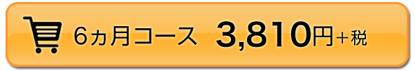 6ヵ月コース