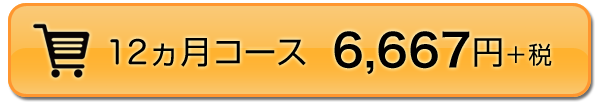 12ヵ月コース