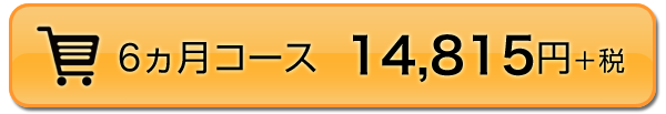 6ヵ月コース