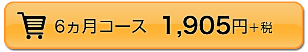 6ヵ月コース