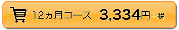 12ヵ月コース