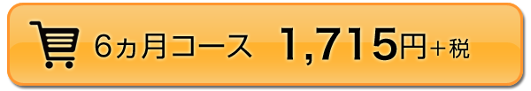 6ヵ月コース