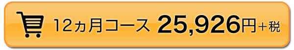 12ヵ月コース