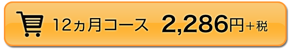 12ヵ月コース