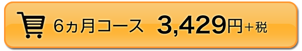 6ヵ月コース