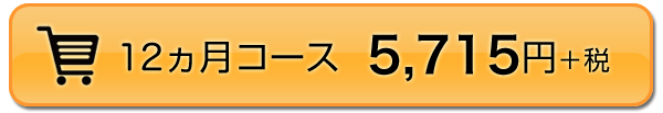 12ヵ月コース