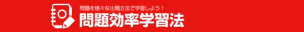 問題効率学習法